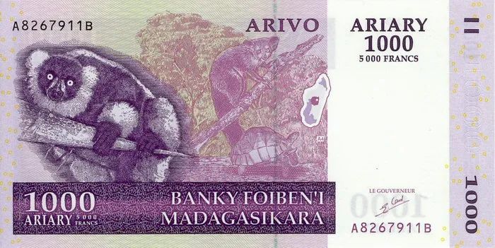 马达加斯加奇幻之旅丨LDD李杜设计-64