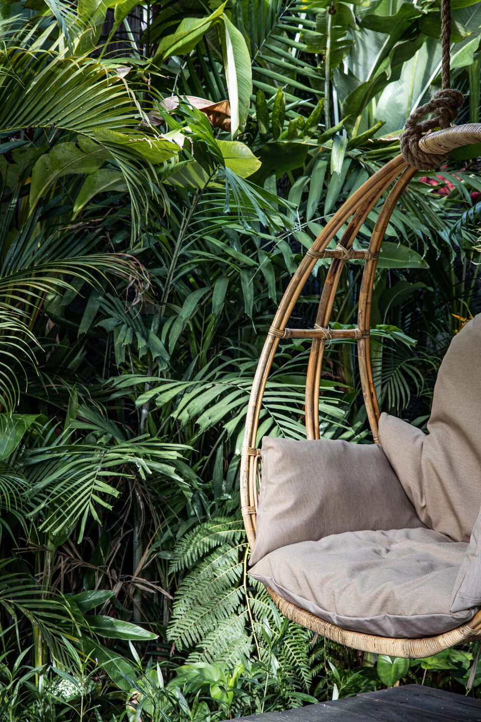 Desa Hay 别墅群丨印度丨Arkana Architects-35