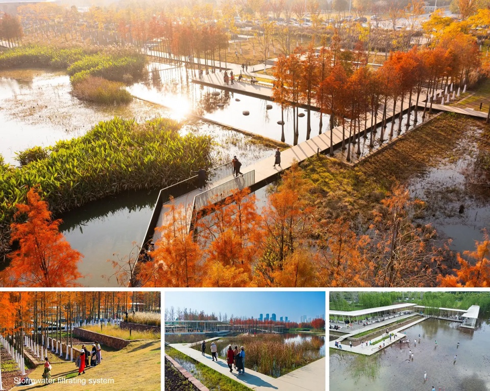 漂浮的森林:南昌市鱼尾洲公园丨中国南昌丨土人设计-35