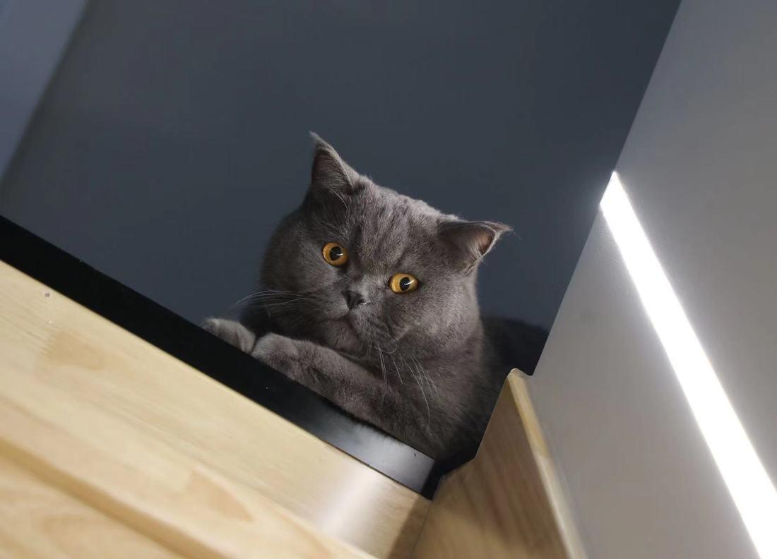 浪漫小夫妻的温馨婚房 | 简约原木与奶白系的完美融合-76