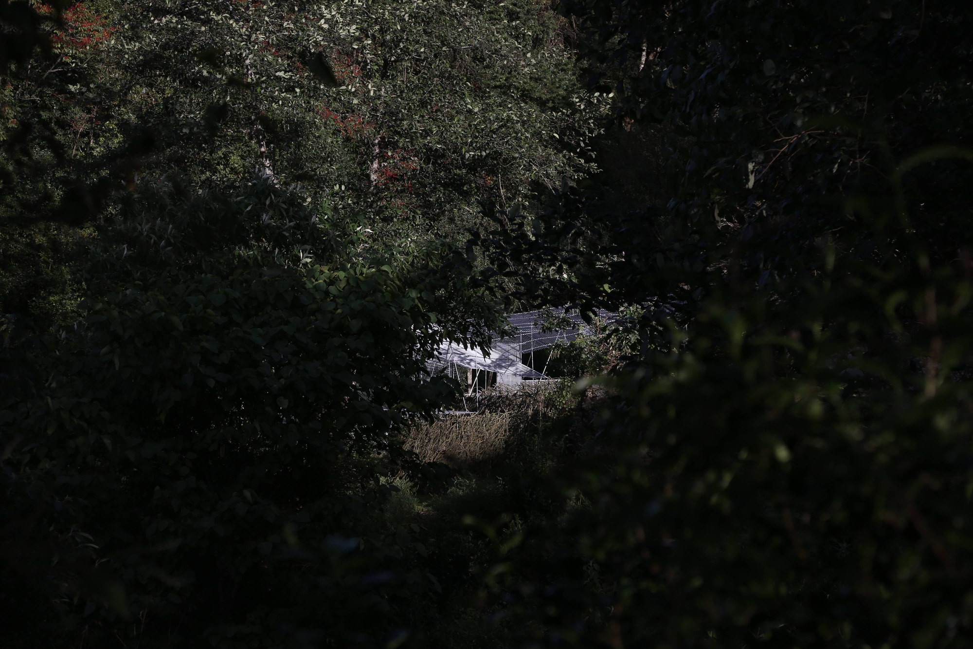 丨中国大理丨Kong Xiangwei Studio-37