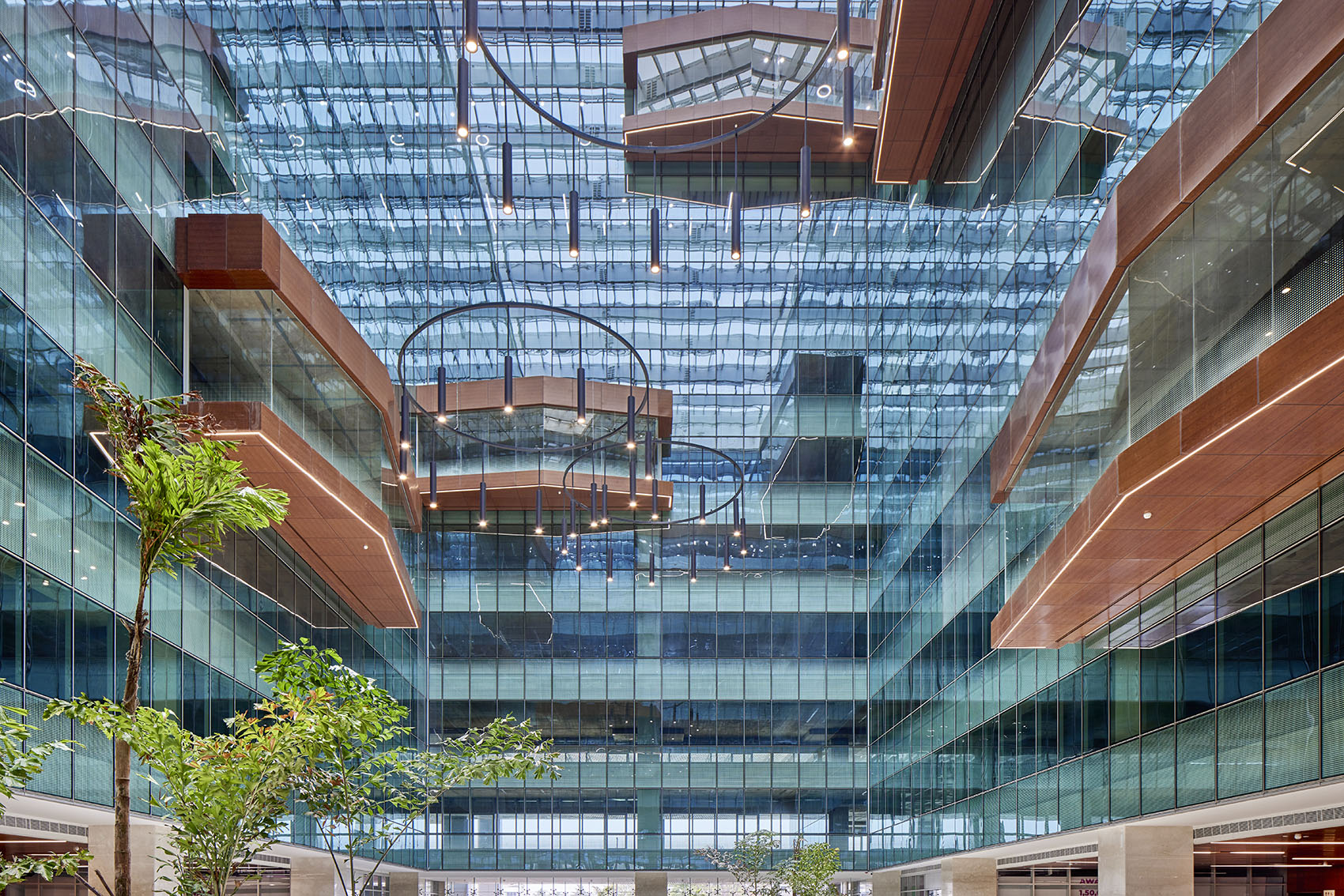 金奈科技园,印度 / Morphogenesis-31