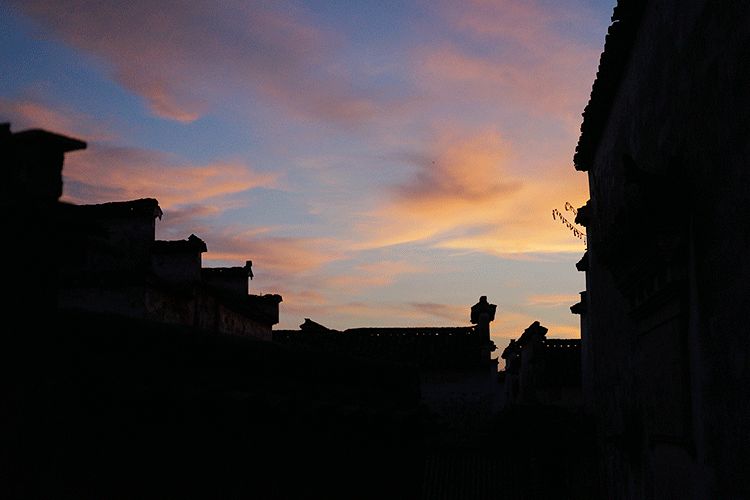 辞去工作，历时7个月，他们过上了有院子，有诗和远方的生活-113