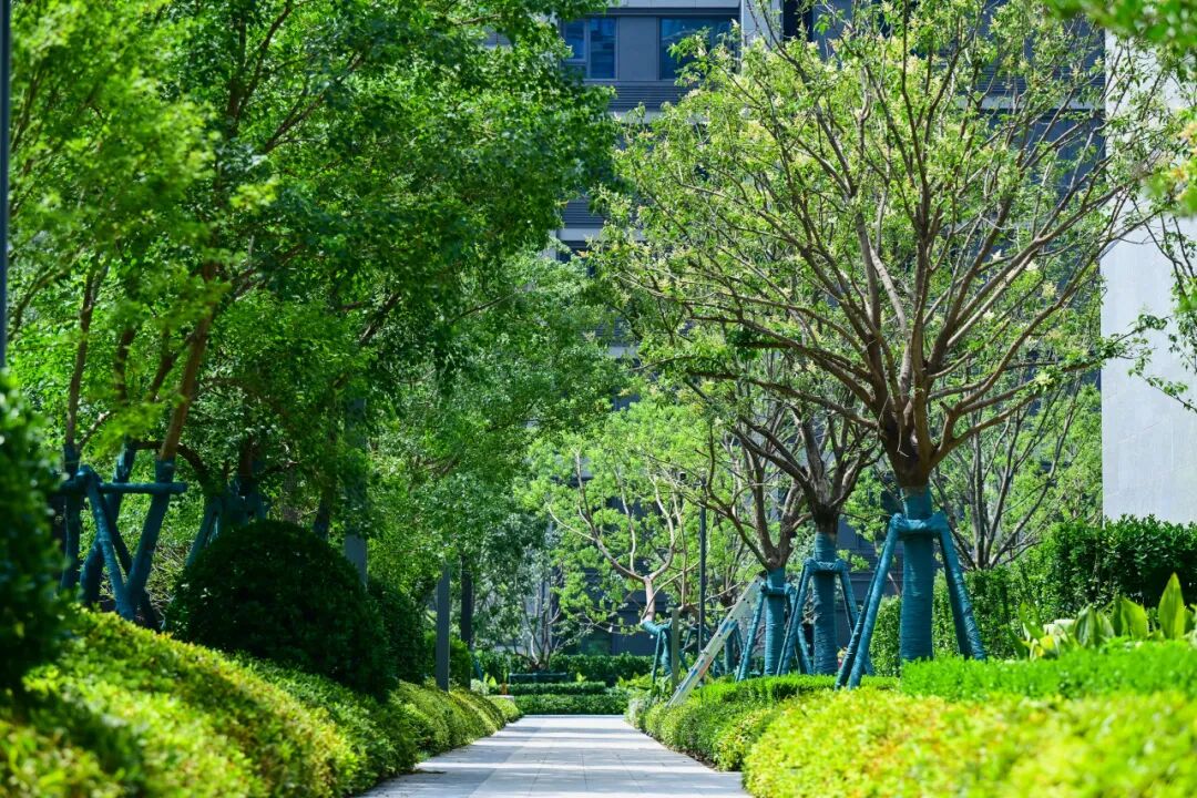 交付看和著湖山｜超越交标的美好兑现-22