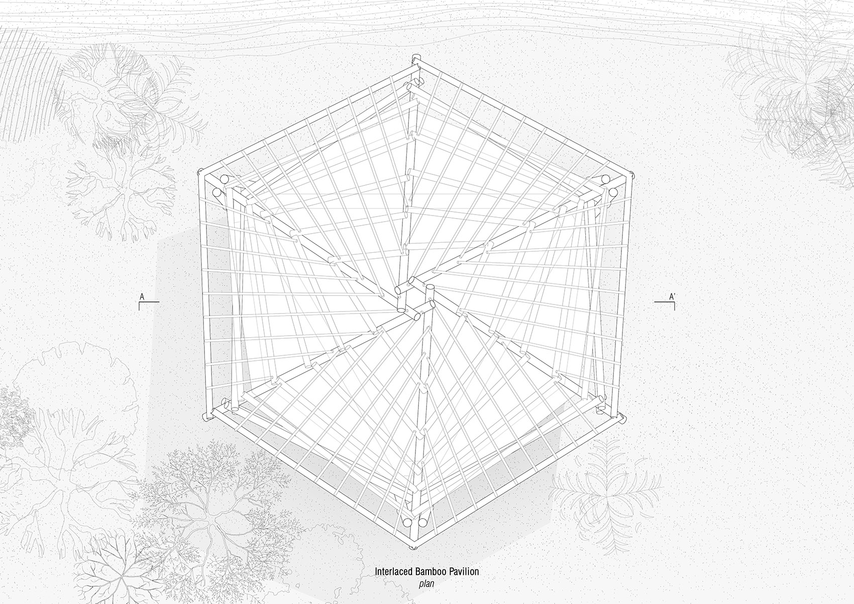 柬埔寨戈公红树林旅舍丨Estudio Cavernas-41