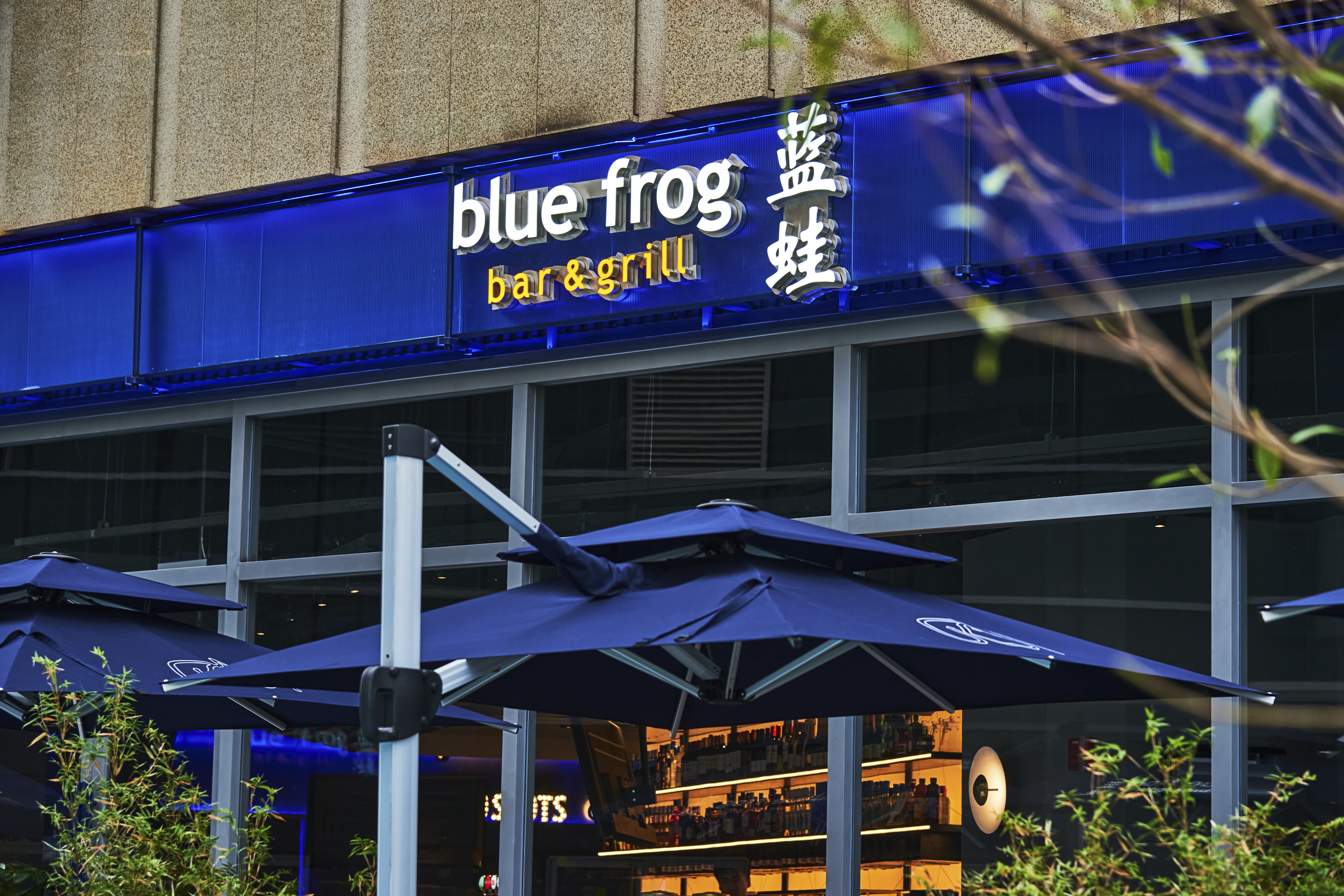 成都蓝蛙露营风格店丨中国成都丨STILL YOUNG-8