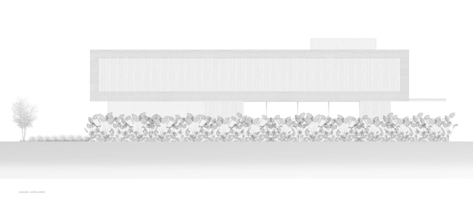 丨巴西丨estúdio mariane rios-64