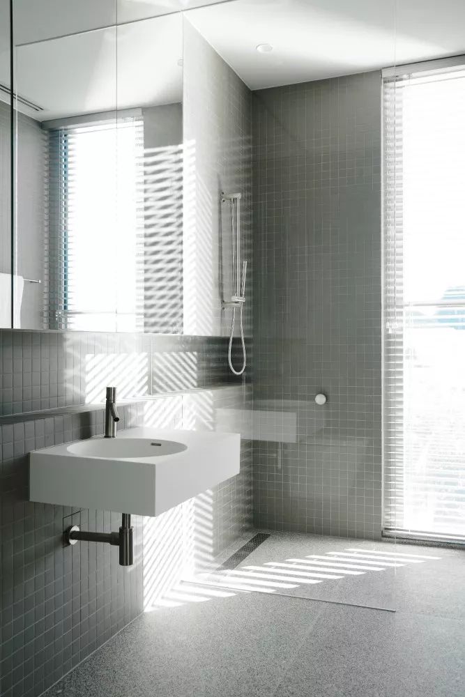 Davidov Architects | 住宅与公共概念的融合-36