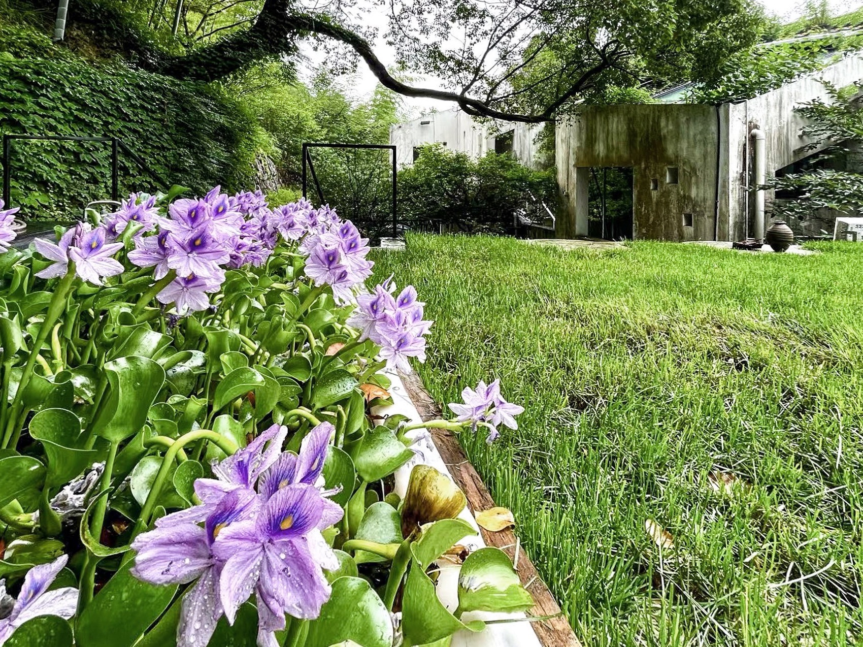 散轩书屋丨中国宁波丨上海善祥建筑设计有限公司-117