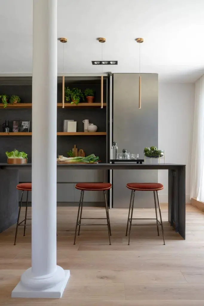 巴塞罗那古典建筑中的现代顶层公寓-2