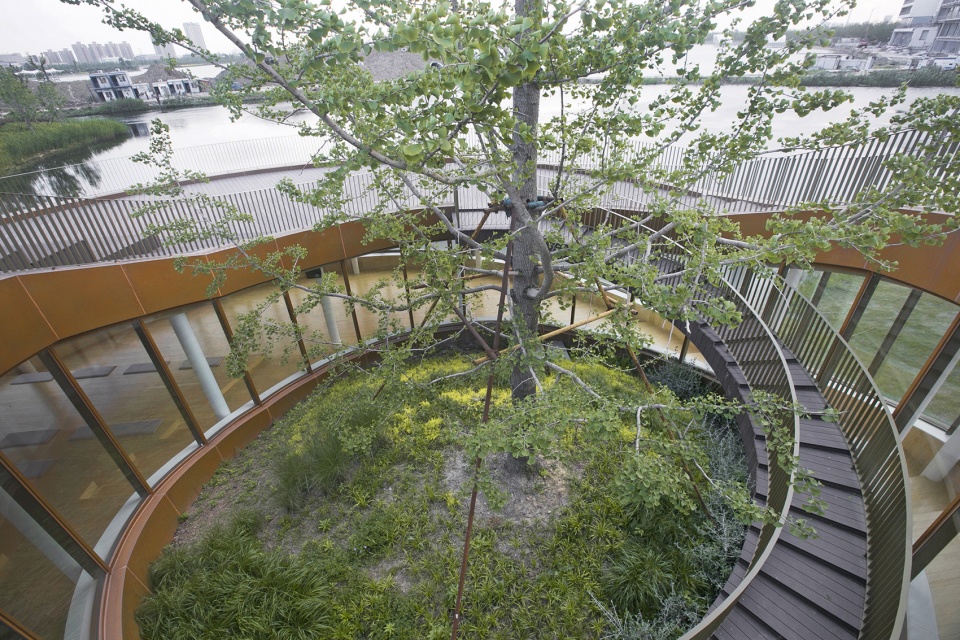 湖畔剧场 | 让自然成为舞台的背景-32