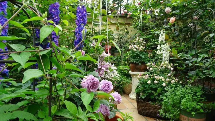 拥有一个这样的小院，人生足矣！-10