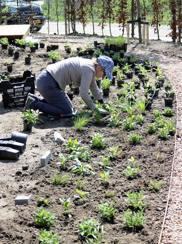 现代别墅旁的自然花园丨荷兰鹿特丹丨Tuinatelier Herman & Vermeulen-38
