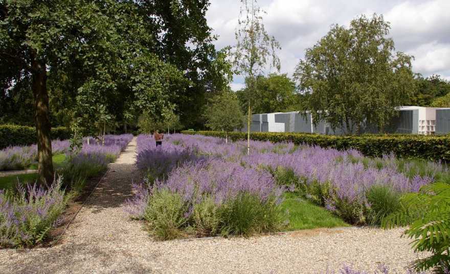 URN GARDEN 墓地景观丨荷兰阿姆斯特丹丨karres+brands-21