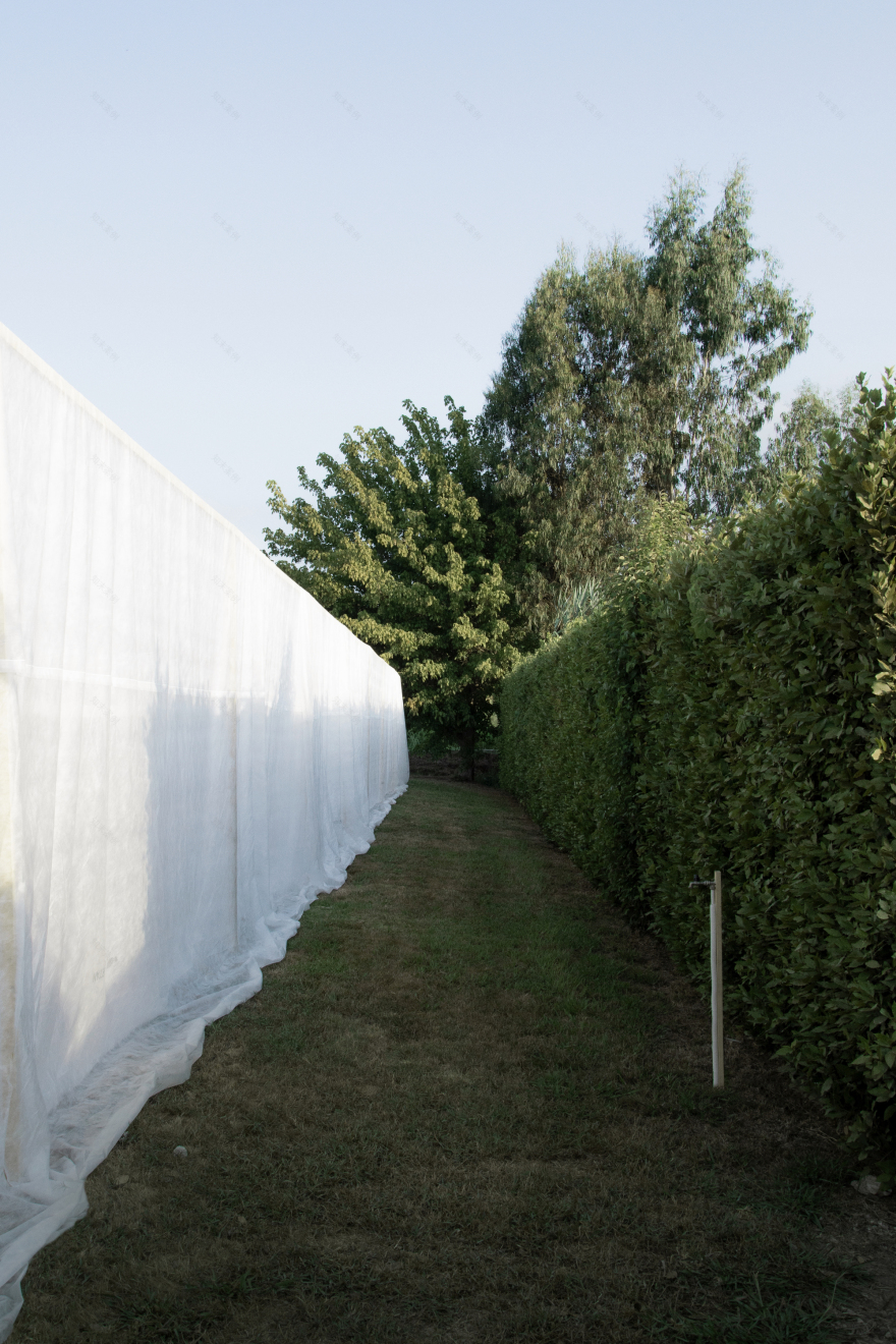 阿尔金韦基奥亭丨意大利-25