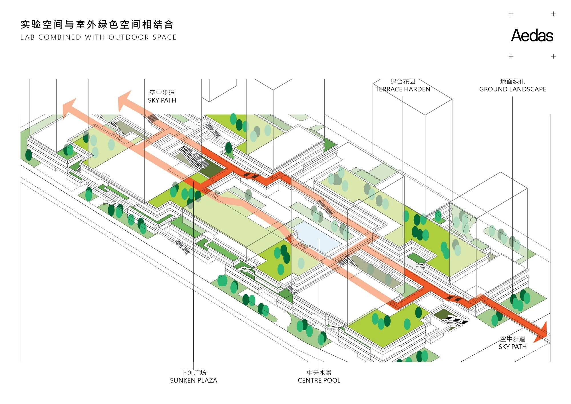 横琴科学城三期二段丨中国珠海丨Aedas-22