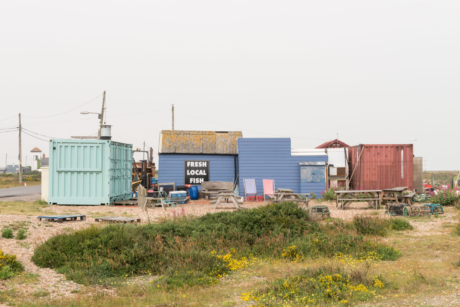 A Resident’s Guide to Dungeness | The Modern House-4