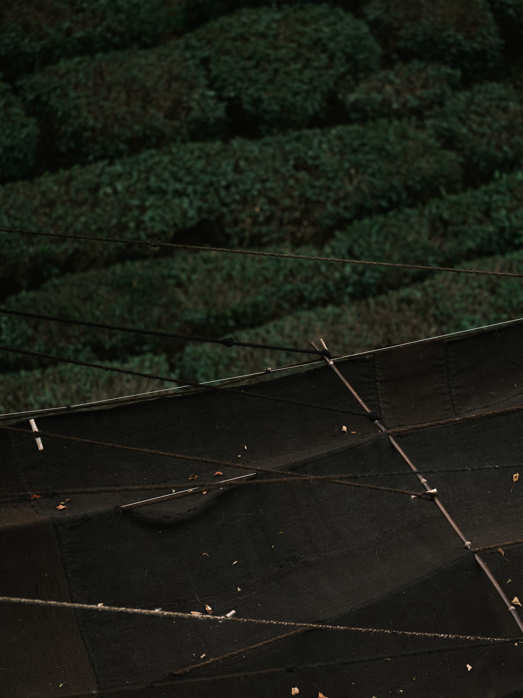 元古觀山 灵隐寺丨中国杭州丨北京无之设计咨询有限公司-25