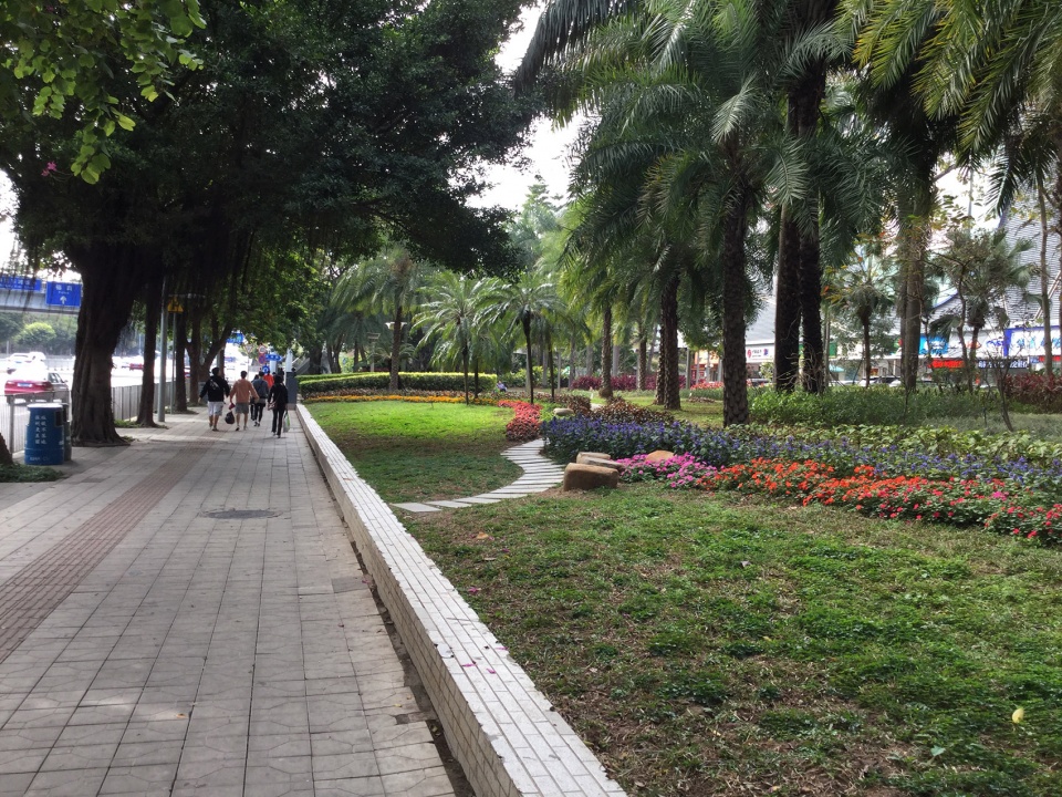 罗湖区“三横四纵”道路沿线视觉一体化·笋岗东路丨深圳市新西林园林景观有限公司-47