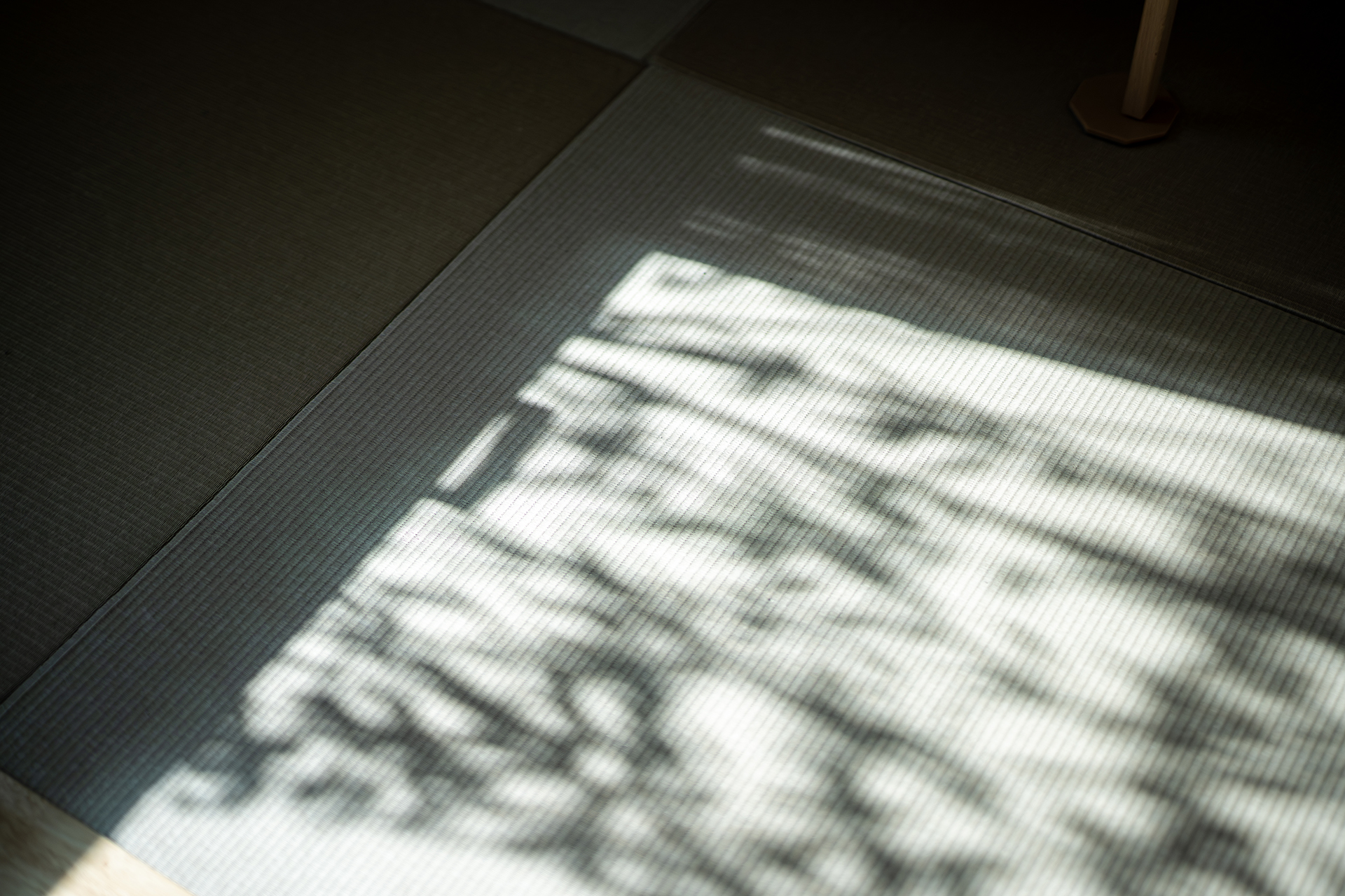 加藤淳設計事務所×Ag  工務店 T邸丨日本新潟丨株式会社加藤淳設計事務所-64