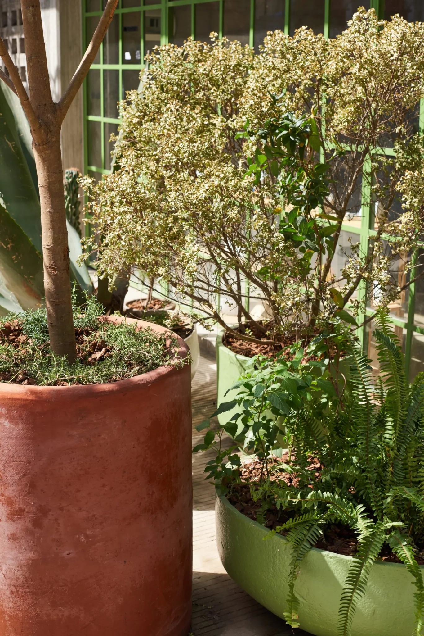 墨西哥城市公共景观-10