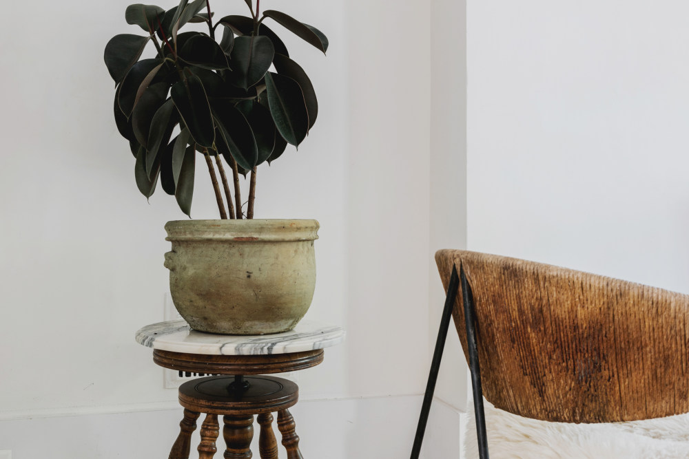 布鲁克林百年老屋的现代重生-5