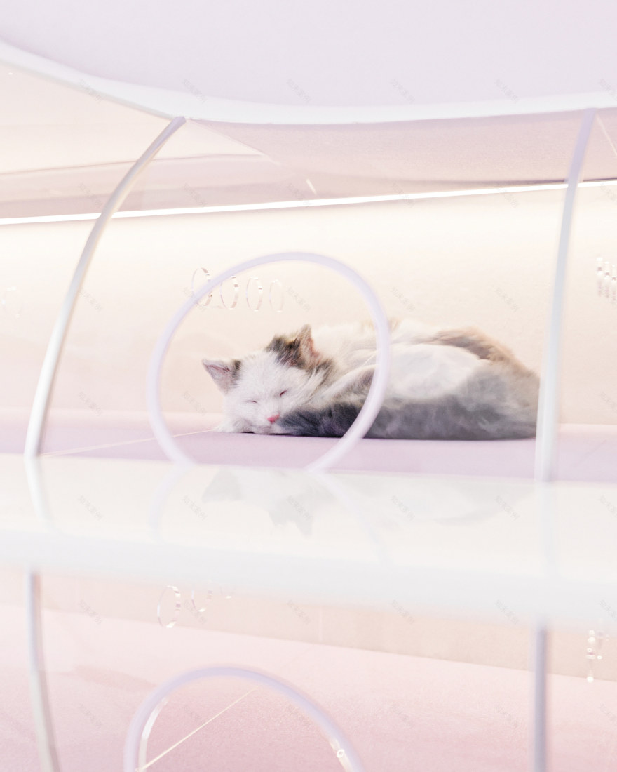 Echoes of the Heart: Healing Center P2-49