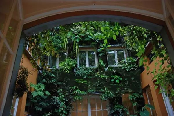 绿先生 | 把热带雨林搬进城市的垂直花园之父-23