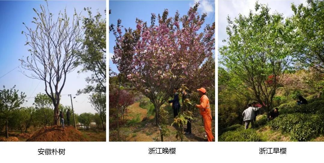 万科 17 英里 | 星空下的乐园生活-103