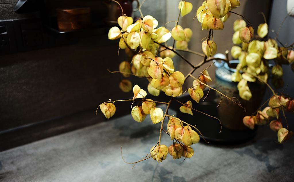 禅意空间 | 一屋一世界，悠然见南山-67