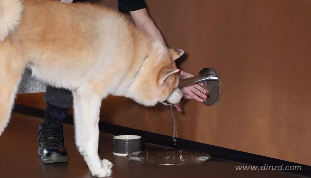 三谷设计 | 古都西安的公厕革命-48