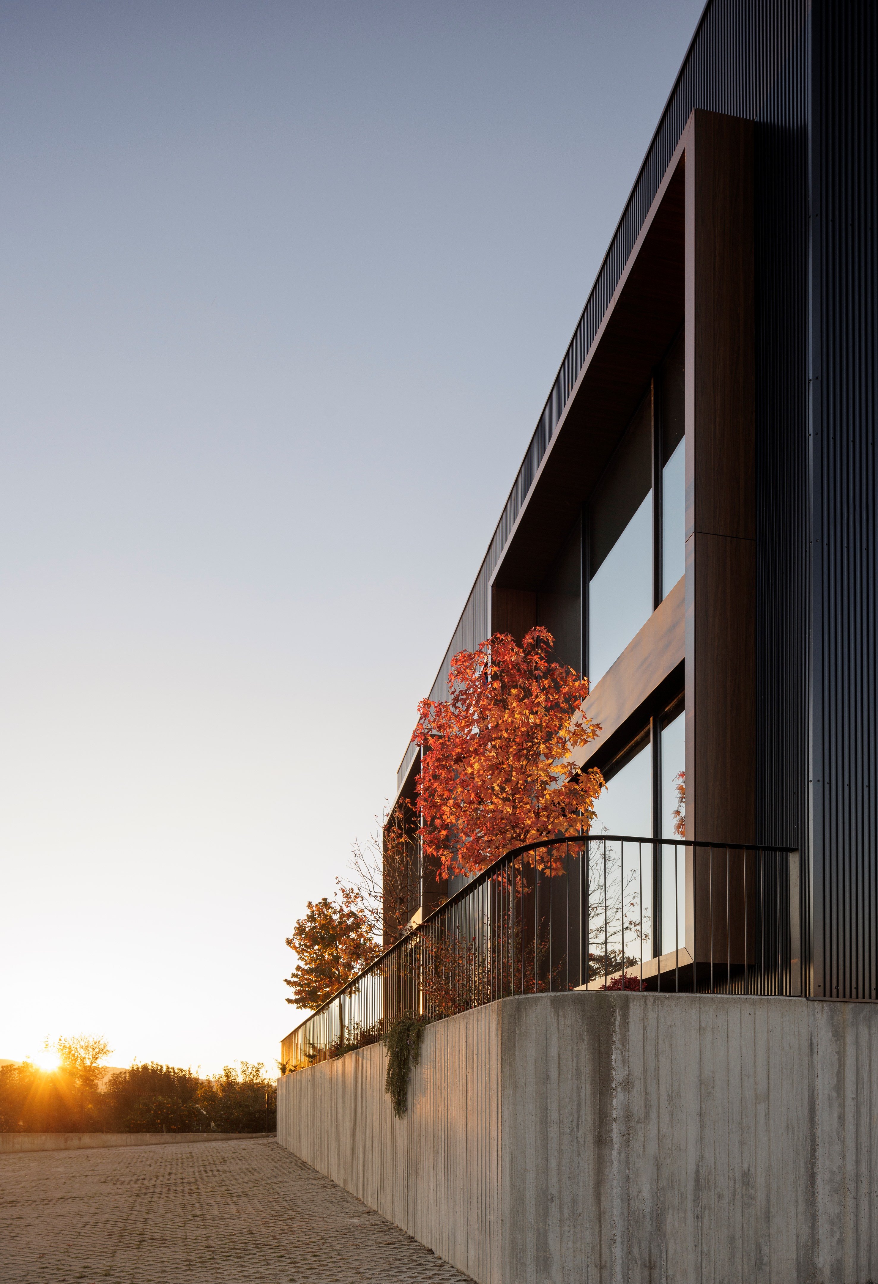 费西米尼奥物理治疗诊所丨葡萄牙丨L2C Arquitectura-46