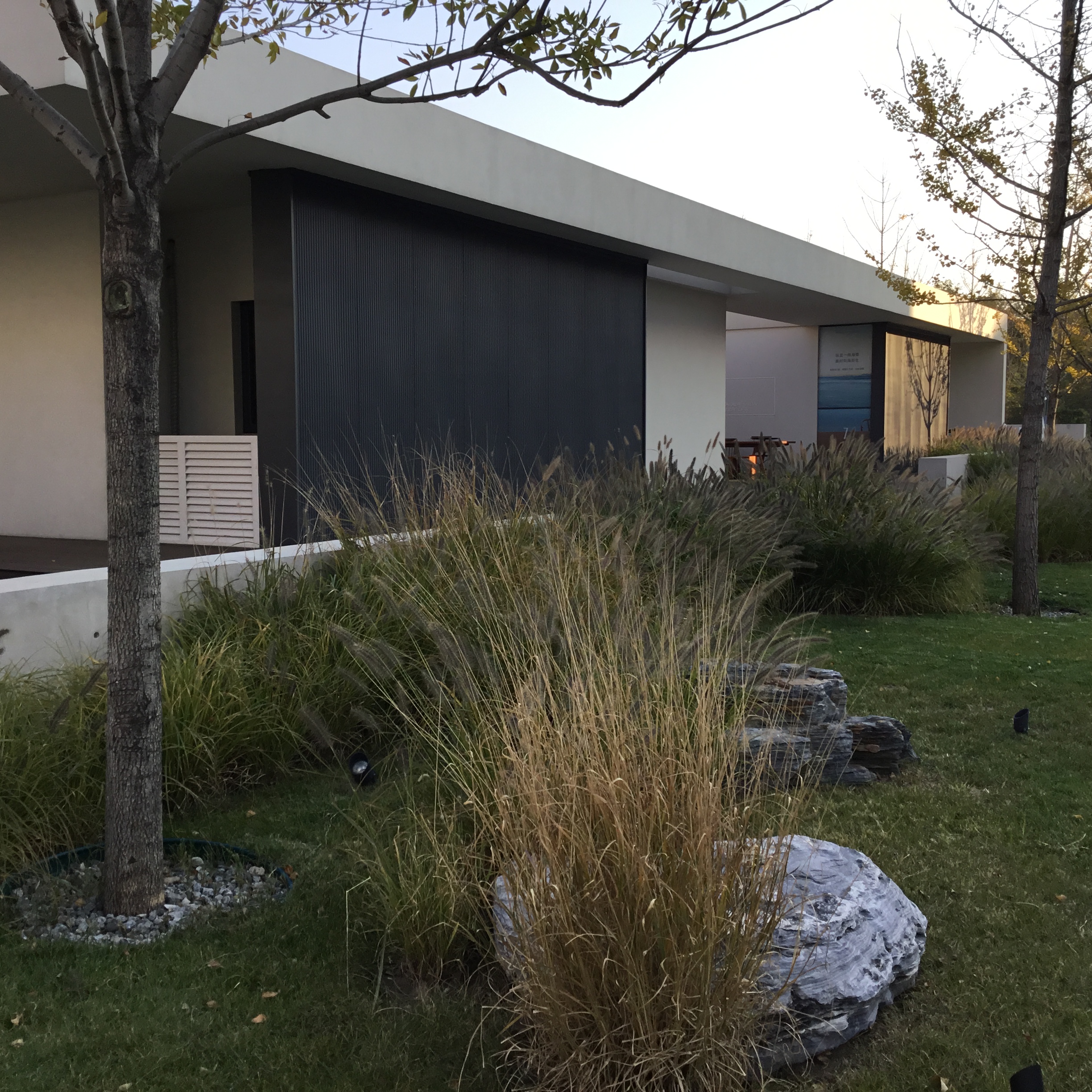 阿那亚～初冬的游历-15