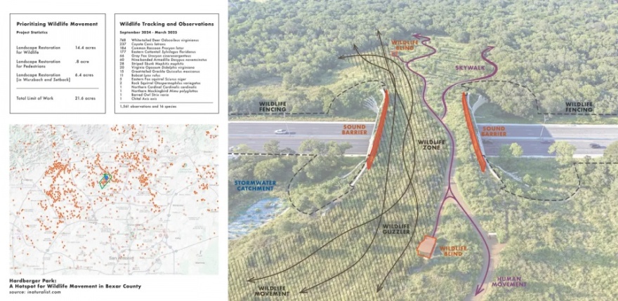 不止于人:连接文化与野生动物的跨桥丨美国丨STIMSON + Rialto Studio-37