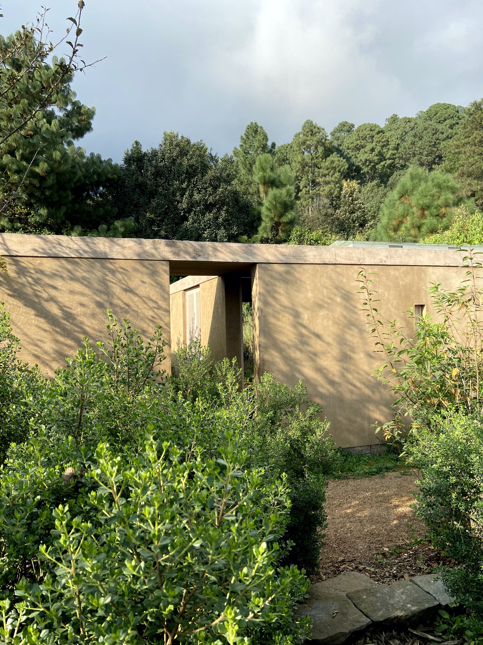 丨墨西哥丨Claudia Rodriguez,Louise Rouzaud-28