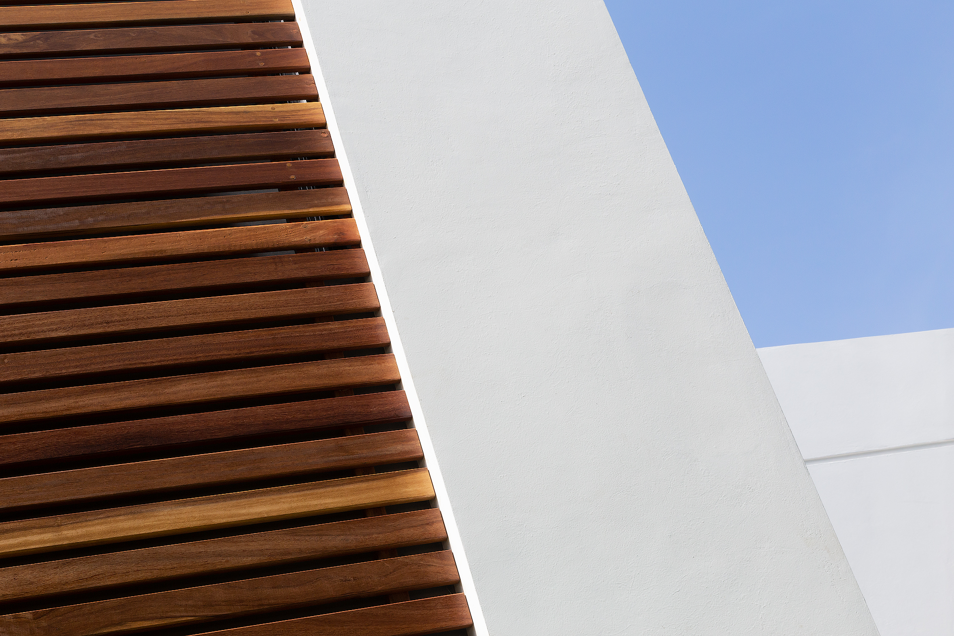 海豚之家丨estudio AM arquitectos-30