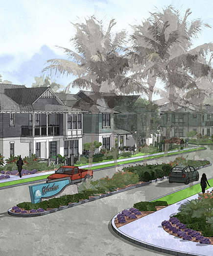 丨美国夏威夷-12