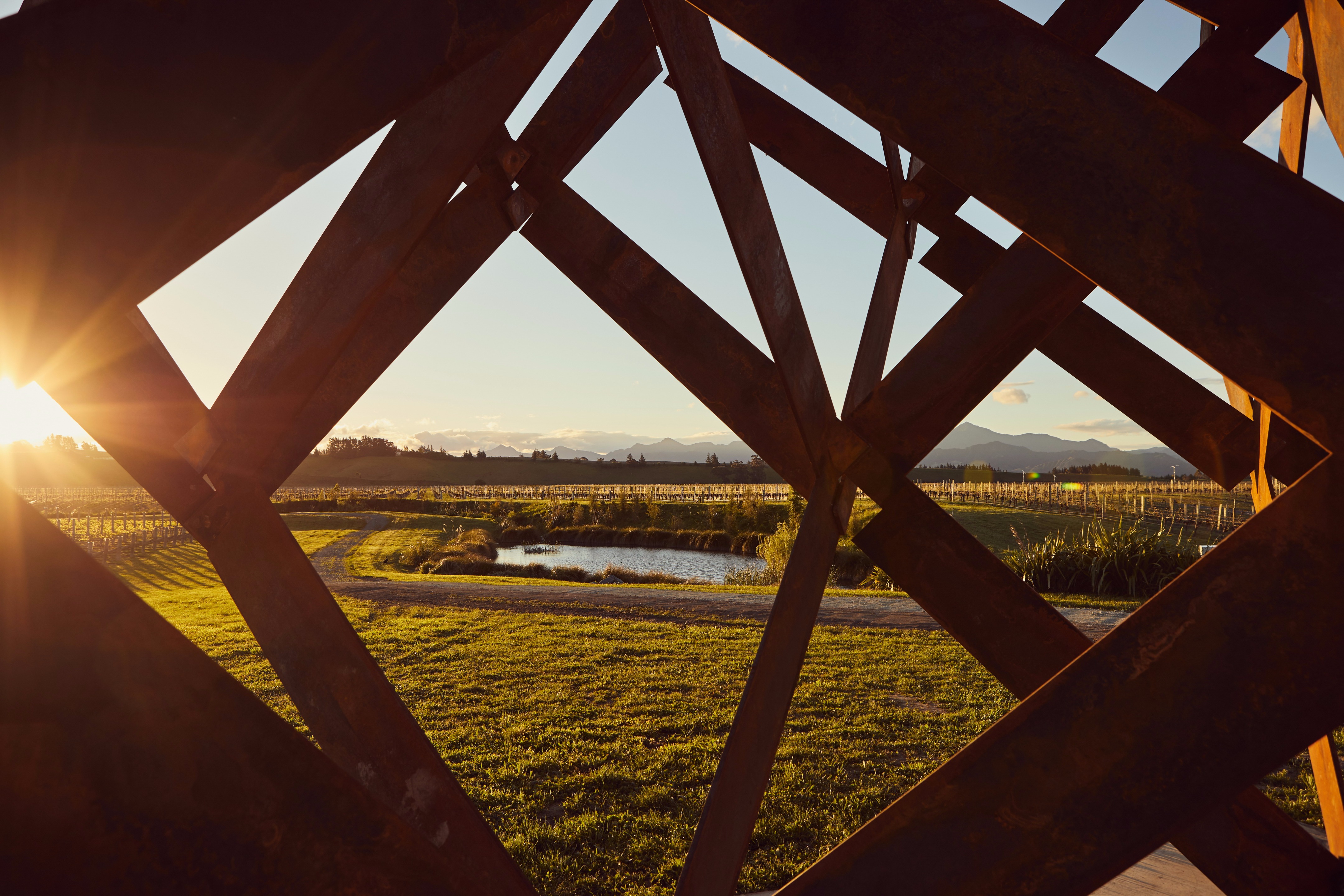 Under,standing 装置与 Brancott Estate 酒庄-9