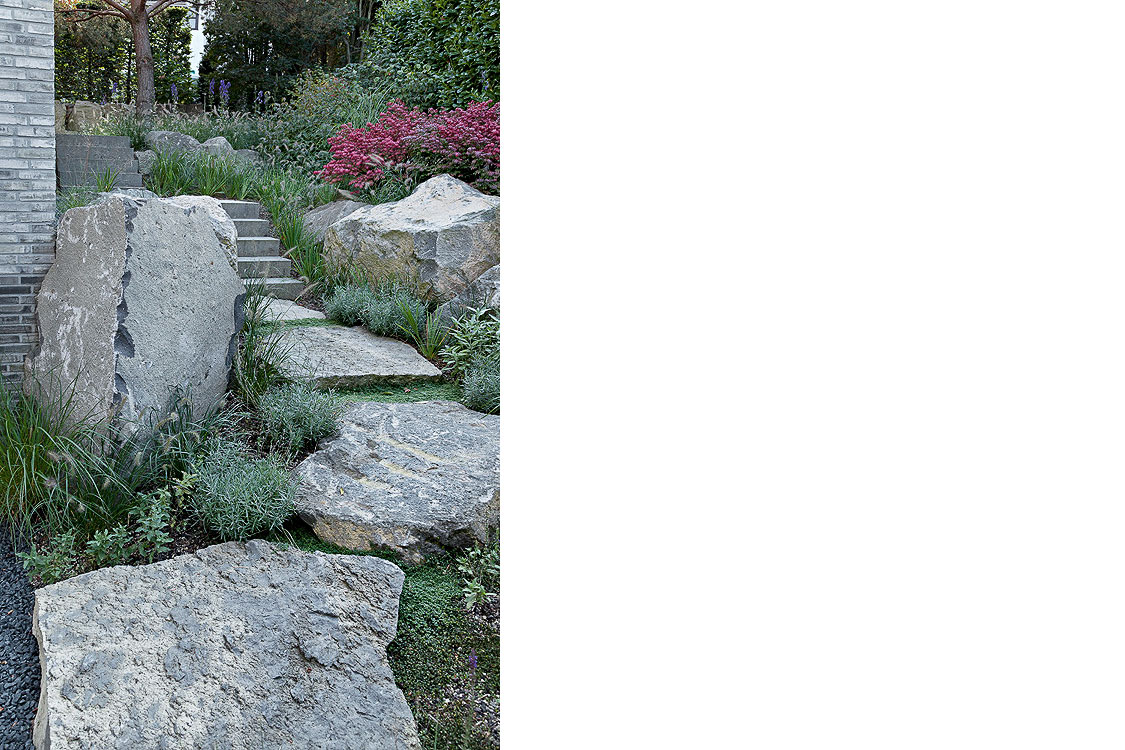 丨Döring Dahmen Joeressen Architekten-11