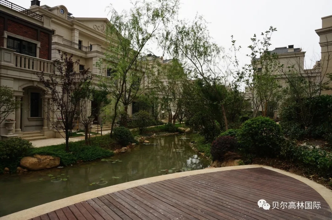 合肥新华•御湖庄园-89