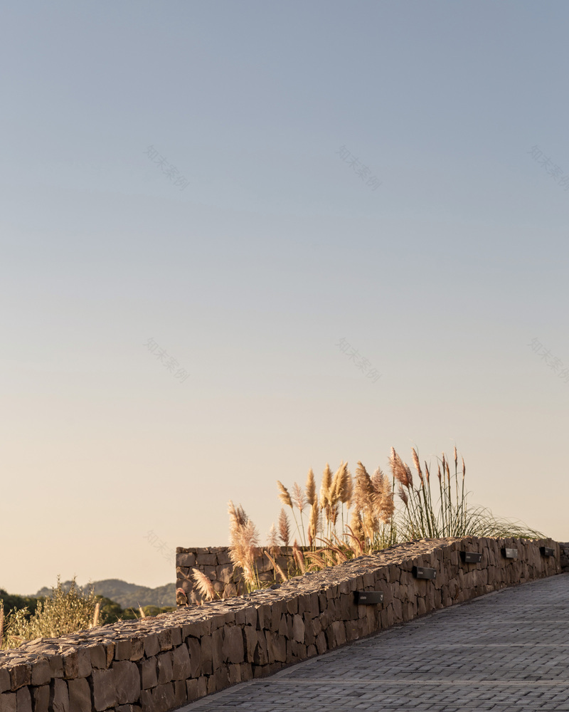 巴西 TKA 滨海艺术中心丨naE-22