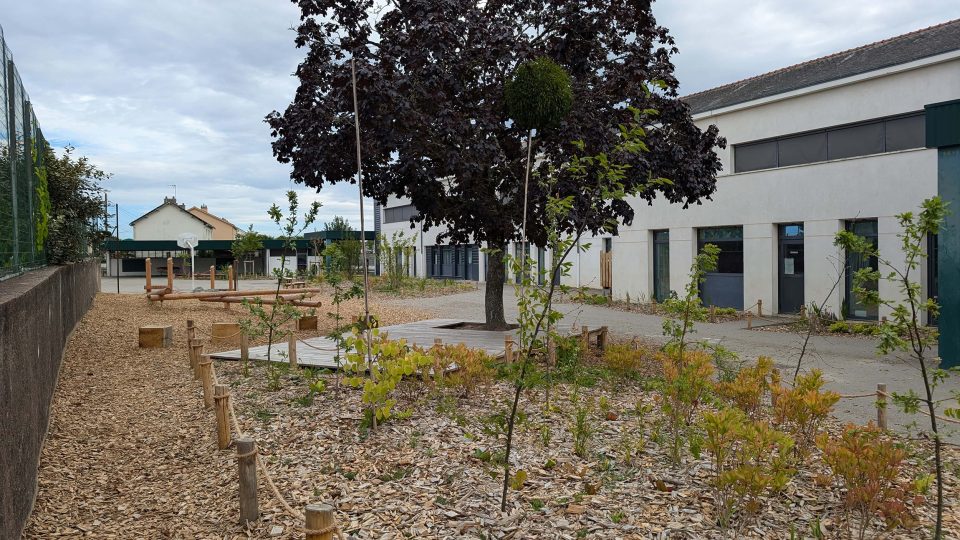 罗伯特·巴丹泰小学操场改造项目丨法国丨SUPER 8  城市规划与景观设计师-6