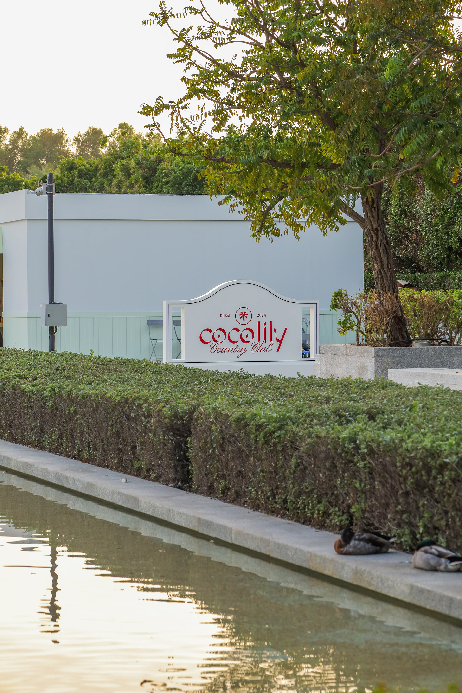 Cocolily 乡村俱乐部 · 迪拜丨阿联酋迪拜丨Nikita Vorontsov,Victoria Gordeeva-65