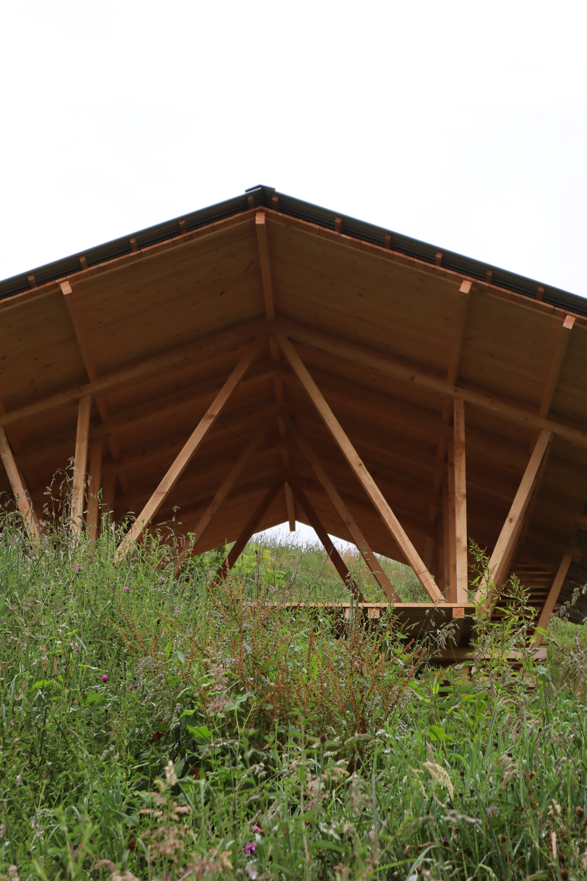 Taller Agropoetico - Foresta Collective / Atelier Poem-29