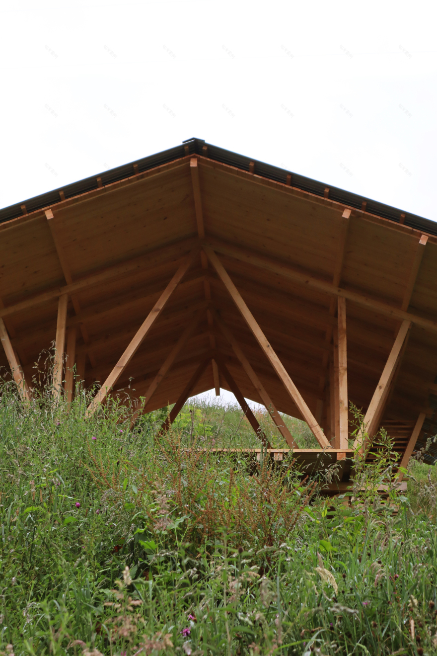 Taller Agropoetico - Foresta Collective / Atelier Poem-29