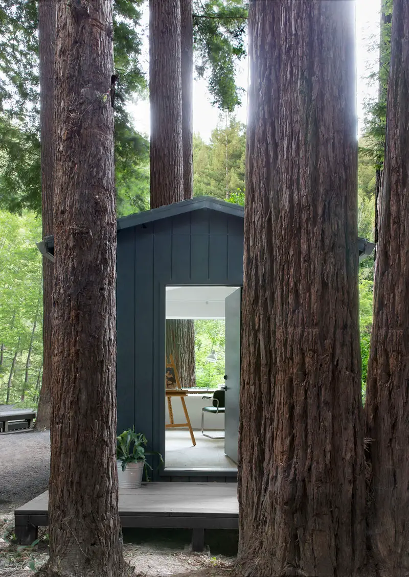 黑森林中的现代设计小屋-14