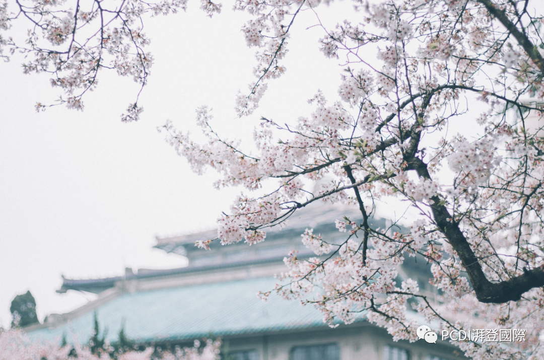 武汉楚河汉街 | 城市文化与现代商业的完美融合-32