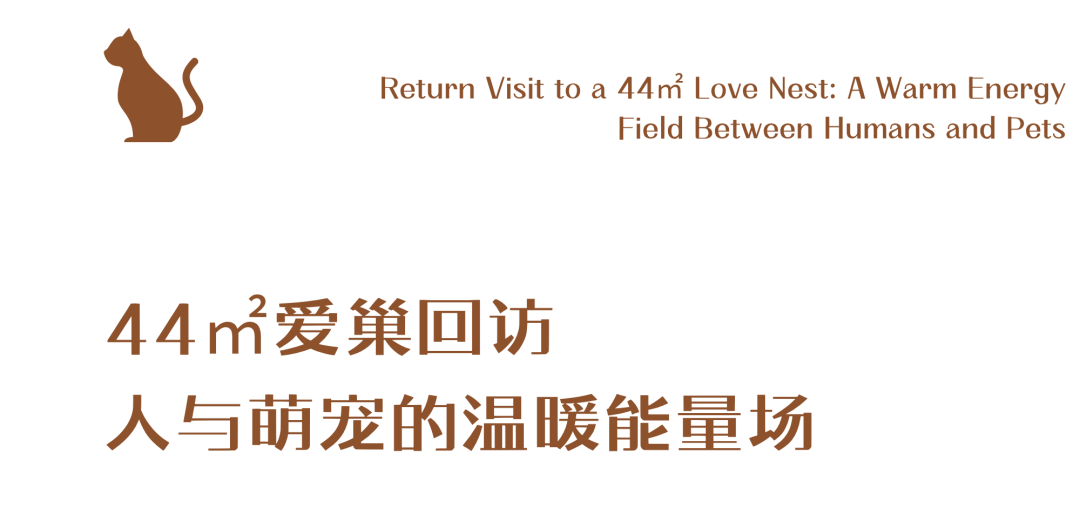 44㎡的治愈宇宙：一人四猫的共生乐园，小户型里的极致温柔-6