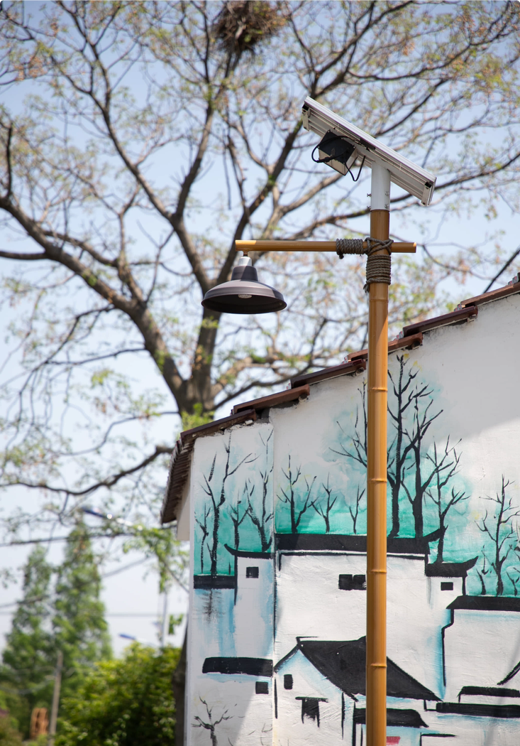 苏州市震泽镇“五美三优”乡村改造丨中国苏州-30