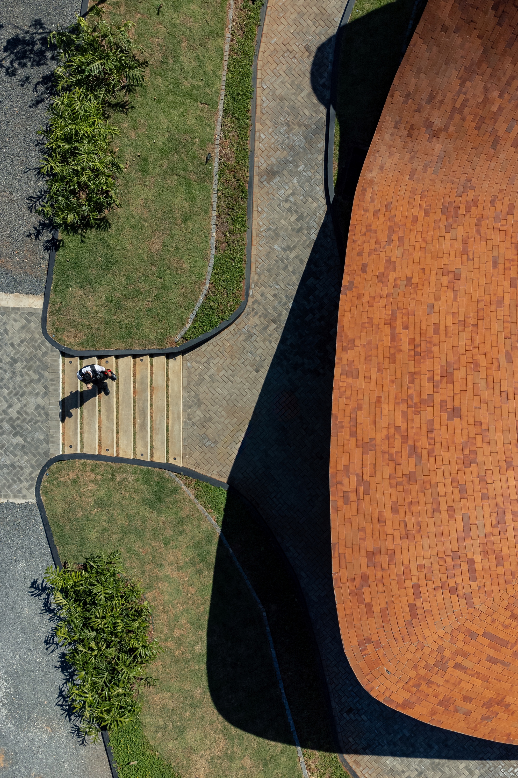 阿米巴分公司（注：Ameba常见指阿米巴，Branch有分公司、分支机构之意，结合常见语境如此翻译） 丨巴拉圭丨BAUEN-37